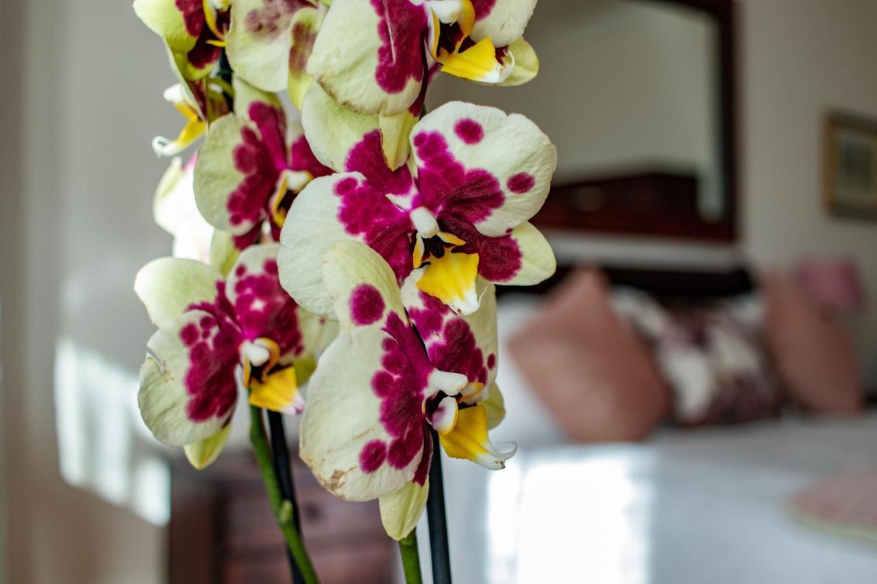 Carmichael House Boutique Hotel Cape Town Eksteriør bilde