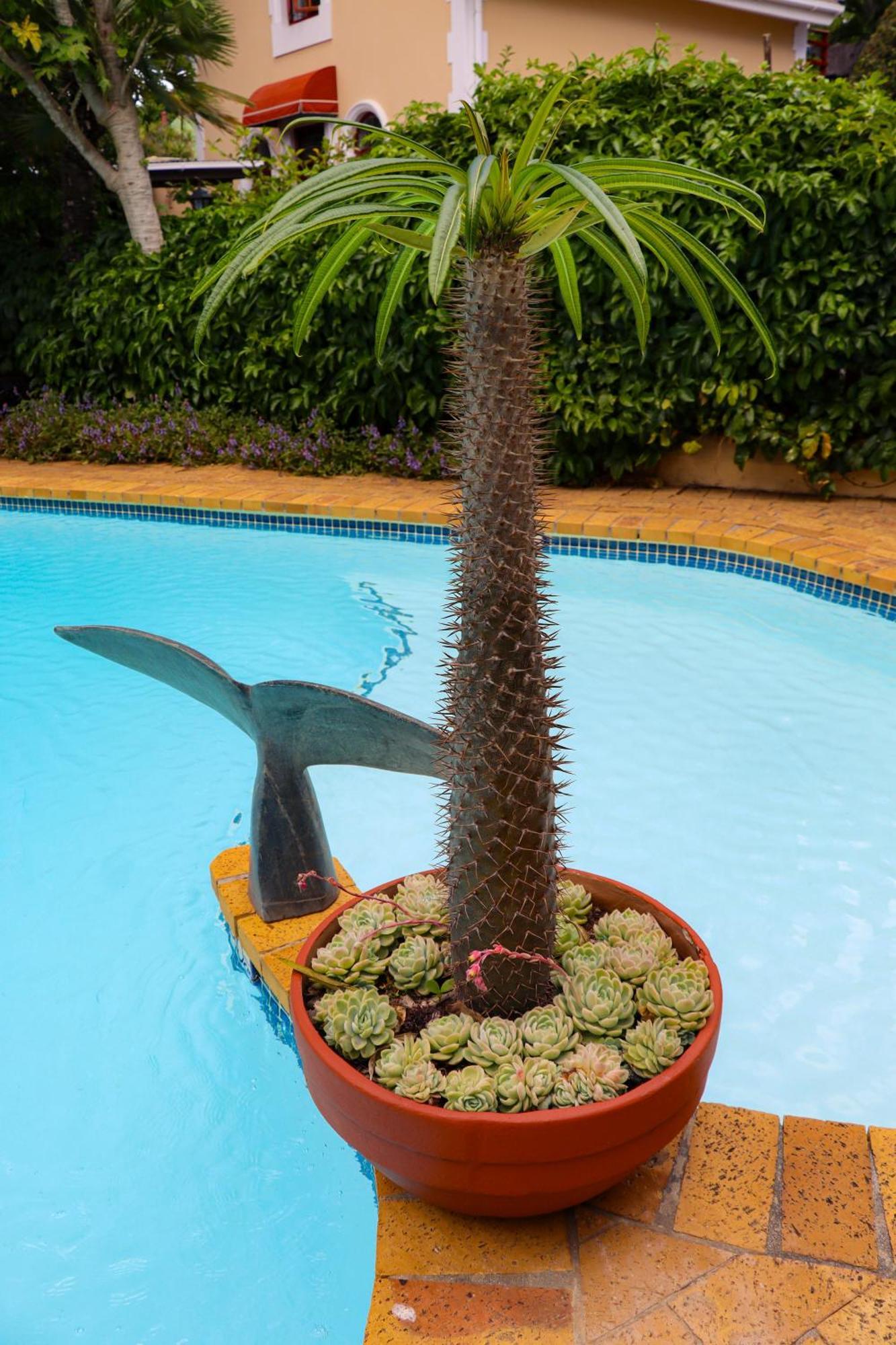 Carmichael House Boutique Hotel Cape Town Eksteriør bilde