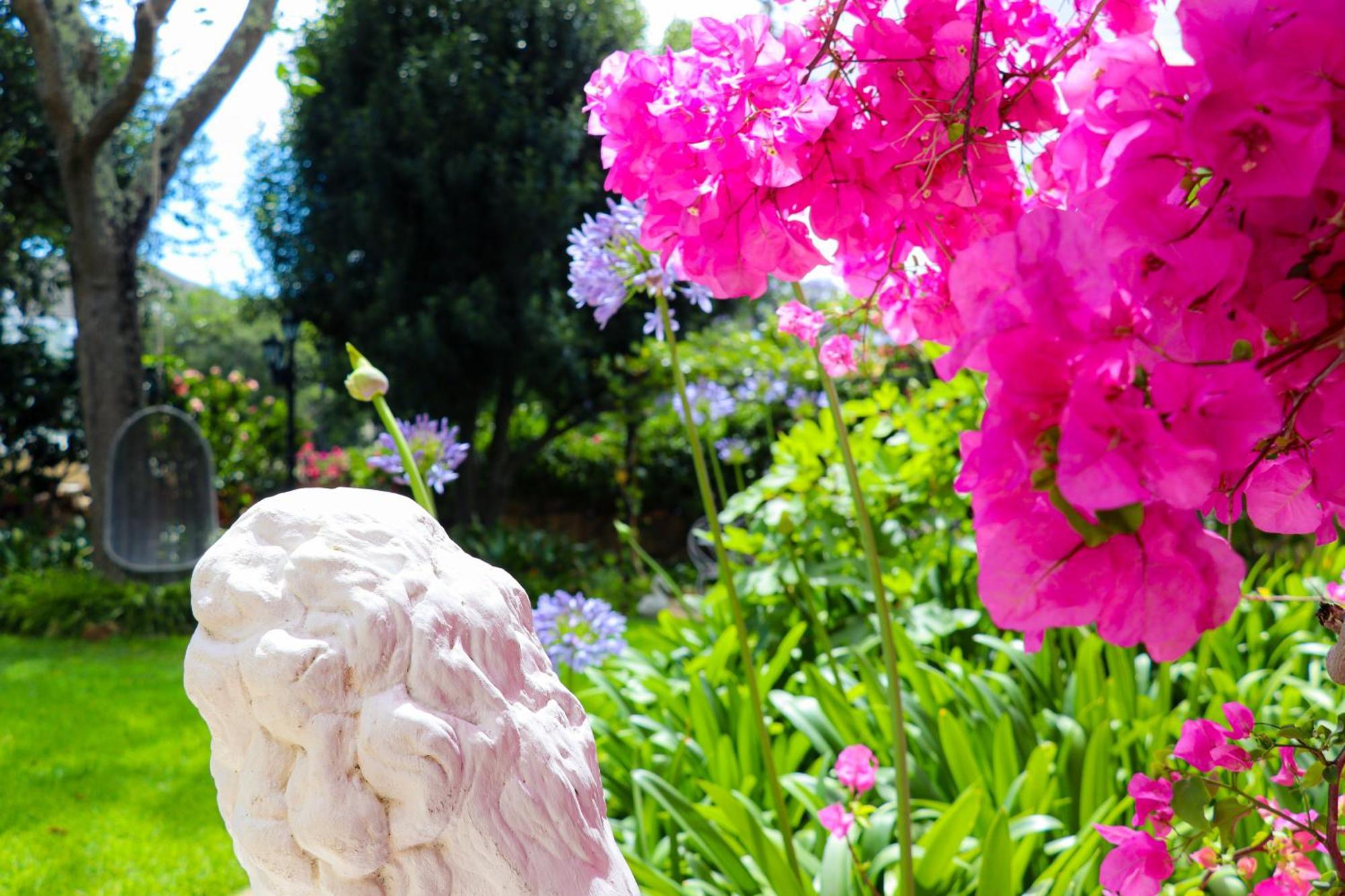 Carmichael House Boutique Hotel Cape Town Eksteriør bilde