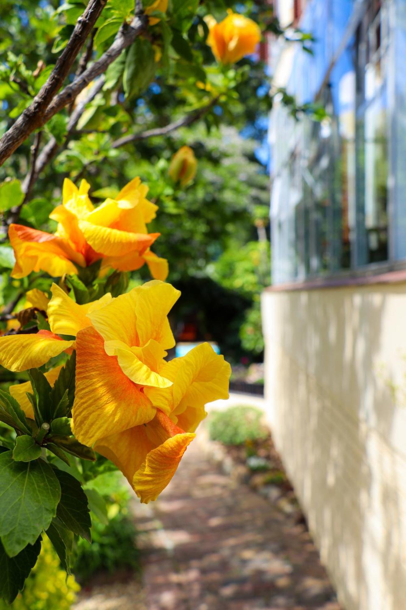 Carmichael House Boutique Hotel Cape Town Eksteriør bilde